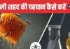 5 Easy Ways to Identify Real and Fake Honey at Home | असली और नकली शहद की पहचान करने की 5 आसान ट्रिक्स