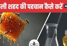 5 Easy Ways to Identify Real and Fake Honey at Home | असली और नकली शहद की पहचान करने की 5 आसान ट्रिक्स