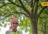 Agriculture: ये पेड़ है ‘हरा सोना’, किसानों की आय और लोगों की सेहत दोनों के लिए वरदान! जानिए इसके अद्भुत फायदे – Uttar Pradesh News