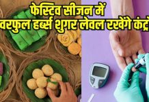 Top 5 herbs that control blood sugar level । 5 सुपर हर्ब्स जो फेस्टिव सीजन में नहीं बढ़ने देंगे शुगर लेवल
