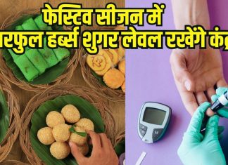 Top 5 herbs that control blood sugar level । 5 सुपर हर्ब्स जो फेस्टिव सीजन में नहीं बढ़ने देंगे शुगर लेवल