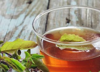 Tulsi eating way: तुलसी का सही सेवन कैसे करें, जानें फायदे, नुकसान और आयुर्वेदिक तरीका