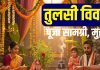 tulsi vivah kanyadan samagri list in hindi | tulsi vivah muhurat 2025 | तुलसी विवाह पर कौन कर सकता है कन्यादान? महादान के लिए इन चीजों को रखें साथ, नोट कर लें पूजा का समय