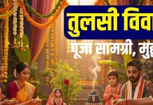 tulsi vivah kanyadan samagri list in hindi | tulsi vivah muhurat 2025 | तुलसी विवाह पर कौन कर सकता है कन्यादान? महादान के लिए इन चीजों को रखें साथ, नोट कर लें पूजा का समय