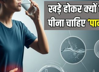 पानी खड़े होकर नहीं पीना चाहिए… ऐसा क्यों कहते हैं घर के बड़े-बुजुर्ग, यहां जान लीजिए सेहत से जुड़ी बात