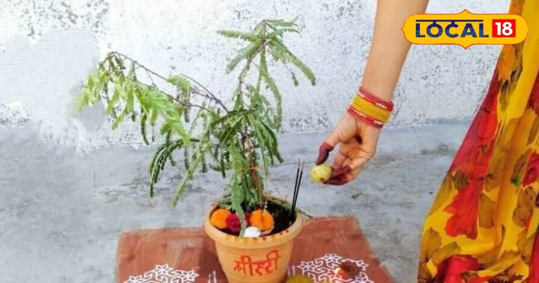 आंवला नवमी के दिन सही तरीके से करें ये खास