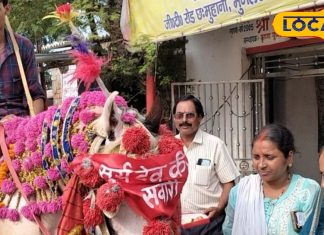 चंदौली में अनोखी परंपरा, सूर्य मंदिर में भगवान भास्कर के घोड़ों की होती है पूजा, व्रतियां खिलाती गुड़ और चना