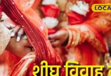 तुलसी विवाह 2024: जानें शुभ तिथि और उपाय ज्योतिषाचार्य से