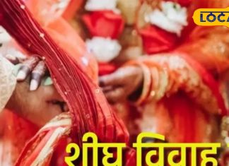 तुलसी विवाह 2024: जानें शुभ तिथि और उपाय ज्योतिषाचार्य से