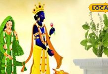 तुलसी विवाह के दिन करें ये 5 उपाय… दूर हो जाएंगी शादी की अड़चनें! मिलेगा समझदार पति