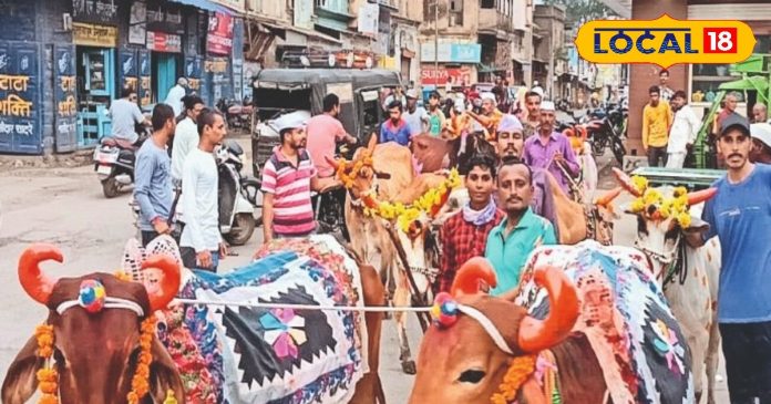 दिवाली के बाद इस दिन पशु मनाते हैं छुट्टी, होता