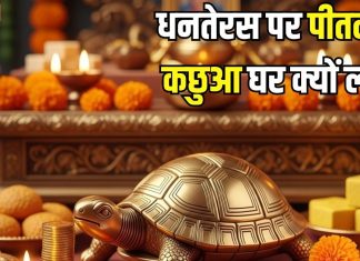 धनतेरस पर पीतल का कछुआ घर में क्यों लाना चाहिए? अगर लाएं तो इसे कहां रखें, जानिए इसका सही स्थान और महत्व