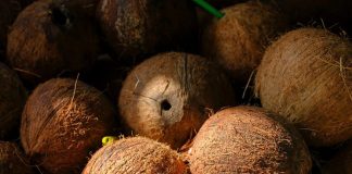 भाई दूज पर नारियल देने की परंपरा का धार्मिक और सांस्कृतिक महत्व.