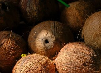 भाई दूज पर नारियल देने की परंपरा का धार्मिक और सांस्कृतिक महत्व.