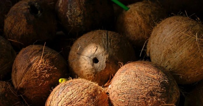 भाई दूज पर नारियल देने की परंपरा का धार्मिक और