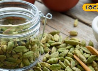 रोजाना बस एक इलाइची….खुल जाएंगे बंद किस्मत के ताले, बदल जाएगा जीवन! बड़ा ही चमत्कारी है यह टोटका