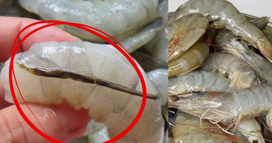 सुनो! मछली खाने के शौकीनों… क्या आप झींगा को उसकी काली नस निकाले बिना पकाते हैं? मत दोहराइए ऐसी गलती, वरना…