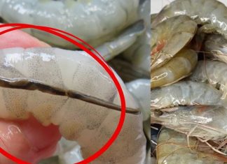 सुनो! मछली खाने के शौकीनों… क्या आप झींगा को उसकी काली नस निकाले बिना पकाते हैं? मत दोहराइए ऐसी गलती, वरना…