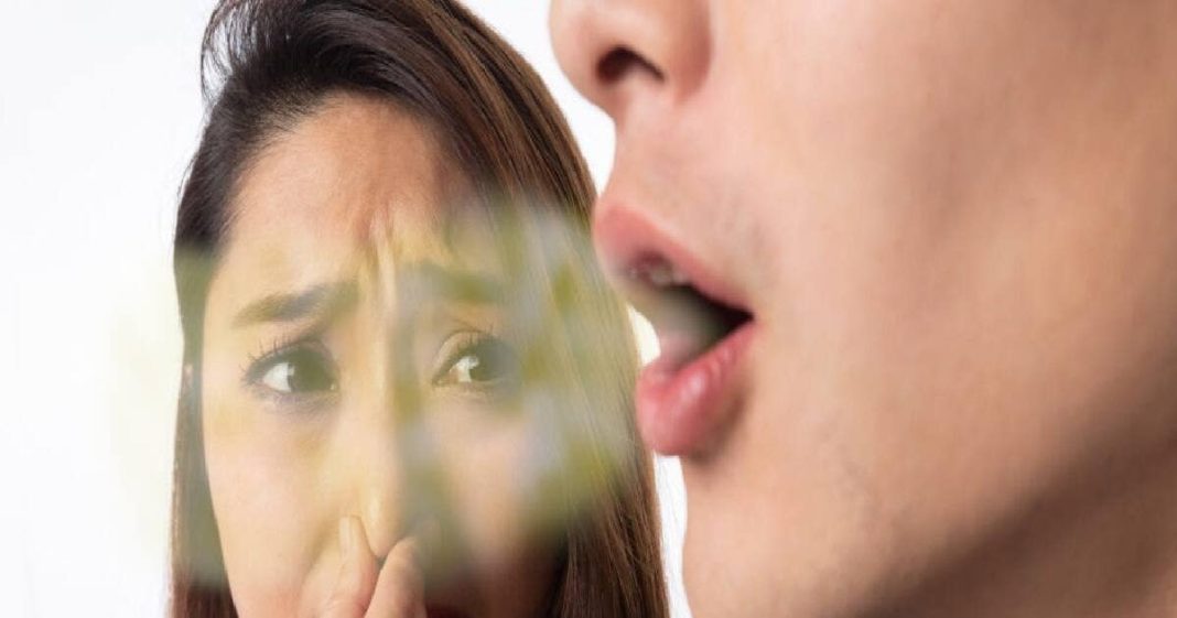 Health Care Tips : सांसों की बदबू से हैं परेशान?…छुटकारा पाने के लिए अपनाएं ये घरेलू उपाय, गायब हो जाएगी सांसों की दुर्गंध!