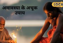 20 नवंबर को मार्गशीर्ष अमावस्या, शिवलिंग पर चढ़ा दे ये चीज, शनि का प्रकोप होगा दूर, पितरो का मिलेगा आर्शीवाद