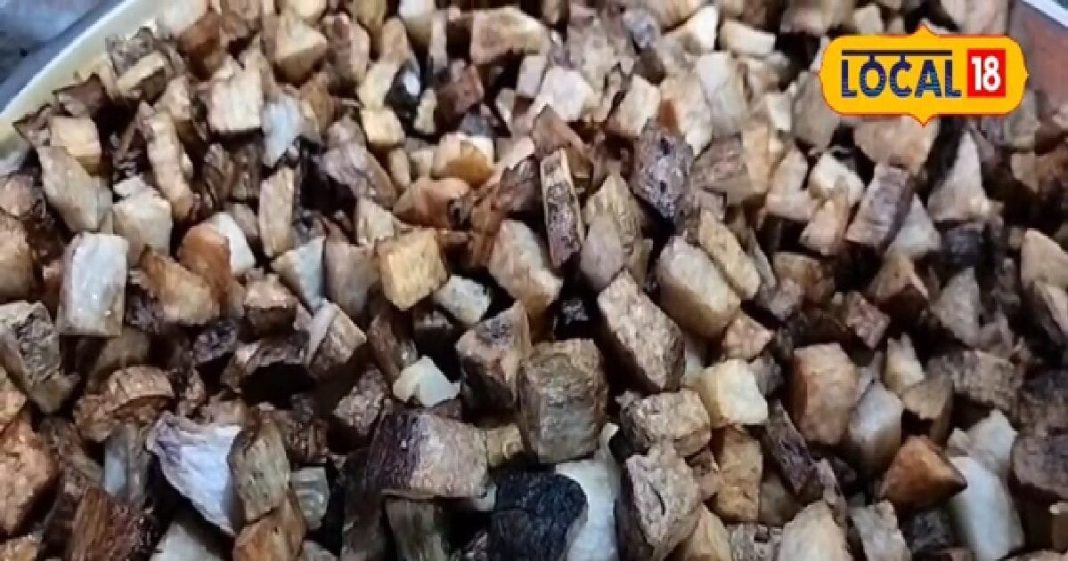 सर्दियों का सुपरफूड! सिर्फ 3 महीने मिलता है, बीमारियों का दुश्मन, भगवान राम से जुड़ी कहानी