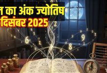 Aaj ka ank Jyotish 1 December 2025 | मूलांक 3 वालों को होगा आर्थिक लाभ, अंक 4 वाले जातक जाएंगे विदेश