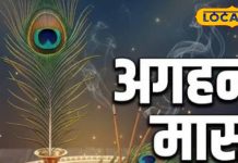 Aghan Month: मासों में मैं मार्गशीर्ष हूं… मोक्ष दिलाने वाले इस महीने में क्यों नहीं खाते जीरा? आचार्य से जानें