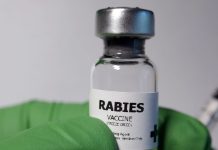 Rabies Vaccine and Antibodies Do You Really Need Both after Dog Bite | रेबीज वैक्सीन के साथ एंटीबॉडी लगवाना जरूरी होता है या नहीं