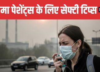 Delhi NCR Air Pollution 5 Safety Tips for Asthma Patients to Stay Healthy | दिल्ली एनसीआर की जहरीली हवा में अस्थमा के मरीज कैसे रखें खुद को सुरक्षित