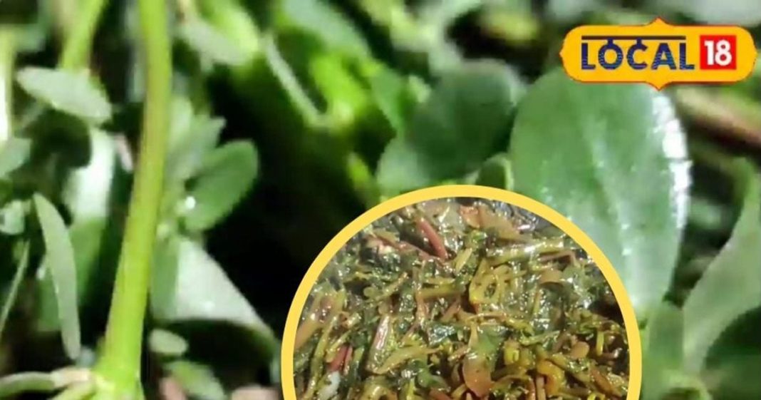 बस्तरिया ‘अनमोला भाजी’ की अनोखी रेसिपी, बिना इमली-टमाटर डाले आएगा गजब स्वाद, सेहत का भी खजाना – Chhattisgarh News