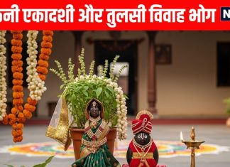 Dev Uthani Ekadashi Vrat Bhog And Tulsi Vivah Bhog | offer these bhog to Vishnu Shaligram and tulsi | देव उठनी एकादशी और तुलसी विवाह के भोग