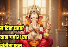 Ganesh ji Favourite Fruits: गणेश जी को अमरूद क्यों है प्रिय जानें बुधवार की पूजा में इसका महत्व.