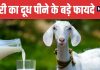 Goat Milk Benefits The Natural Elixir for Strength and Immunity | बकरी का दूध शरीर के लिए अमृत समान