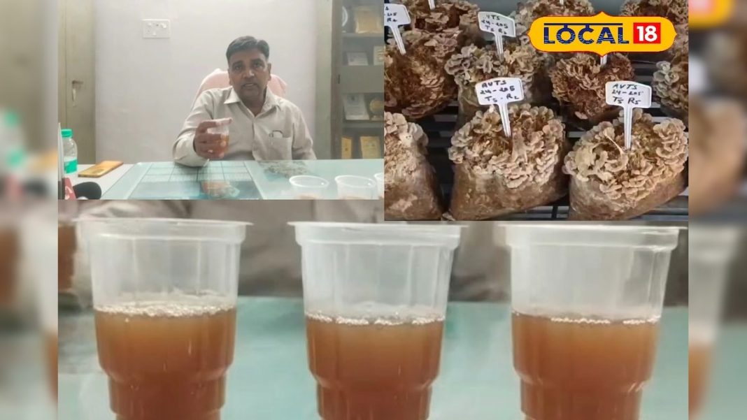 औषधीय गुणों से भरपूर है ये स्पेशल टी, चाय प्रेमियों के लिए हेल्दी विकल्प; इम्यूनिटी होगी मजबूत – Bharat.one हिंदी