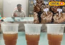 औषधीय गुणों से भरपूर है ये स्पेशल टी, चाय प्रेमियों के लिए हेल्दी विकल्प; इम्यूनिटी होगी मजबूत – Bharat.one हिंदी