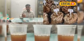 औषधीय गुणों से भरपूर है ये स्पेशल टी, चाय प्रेमियों के लिए हेल्दी विकल्प; इम्यूनिटी होगी मजबूत – Bharat.one हिंदी