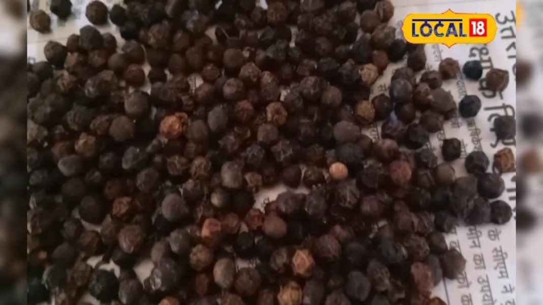 स्वाद ही नहीं… सेहत का भी खजाना है ये छोटा सा मसाला, सर्दी-खांसी से लेकर शुगर तक में कारगर; जानें चमत्कारी फायदे