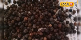 स्वाद ही नहीं… सेहत का भी खजाना है ये छोटा सा मसाला, सर्दी-खांसी से लेकर शुगर तक में कारगर; जानें चमत्कारी फायदे