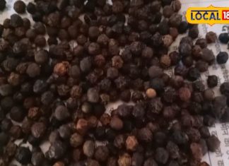 स्वाद ही नहीं… सेहत का भी खजाना है ये छोटा सा मसाला, सर्दी-खांसी से लेकर शुगर तक में कारगर; जानें चमत्कारी फायदे