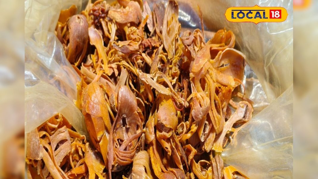 सेहत के लिए फायदेमंद है किचन का ये मसाला, पाचन, दर्द, त्वचा और इम्यूनिटी के लिए रामबाण; इसमें छिपे हैं कई गुण