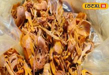 सेहत के लिए फायदेमंद है किचन का ये मसाला, पाचन, दर्द, त्वचा और इम्यूनिटी के लिए रामबाण; इसमें छिपे हैं कई गुण