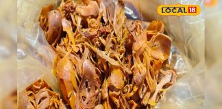 सेहत के लिए फायदेमंद है किचन का ये मसाला, पाचन, दर्द, त्वचा और इम्यूनिटी के लिए रामबाण; इसमें छिपे हैं कई गुण