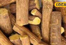 दिखने में साधारण, असर में कमाल…. यह जड़ी माइग्रेन, अल्सर और खांसी का प्राकृतिक इलाज, जानें चमत्कारी गुण – Uttar Pradesh News