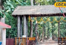 Dudhwa National Park: खुल गया दुधवा नेशनल पार्क, फिर गूंजेगी सैलानियों की चहल-पहल, मगर इस नियम का करना होगा पालन