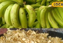 बाजार की केमिकल स्नैक्स छोड़ें, कच्चे केले से तैयार करें स्वादिष्ट-सेहतमंद चिप्स, बस इन चीजों की पड़ेगी जरूरत