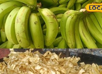 बाजार की केमिकल स्नैक्स छोड़ें, कच्चे केले से तैयार करें स्वादिष्ट-सेहतमंद चिप्स, बस इन चीजों की पड़ेगी जरूरत