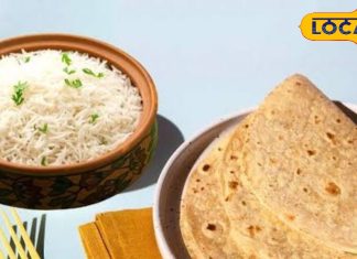 रोटी या चावल…. आपकी डाइट के लिए कौन है परफेक्ट चॉइस? जानें कैलोरी और पोषण का पूरा हिसाब