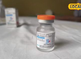 कुत्ता काटने पर अब सिर्फ रैबीज इंजेक्शन काफी नहीं, ये वाली सुई भी जरूरी, नहीं लगवाने पर पगलाने का खतरा – Uttar Pradesh News