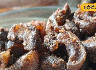 Amla Cube: ठंडी स्पेशल आंवले की कैंडी, इन खास चीजों से होती तैयार, सेहत और स्वाद दोनों में कमाल – Uttar Pradesh News