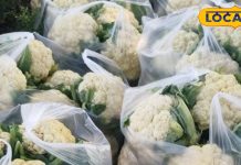 पानी से नहीं निकलते फूलगोभी-पत्तागोभी में छिपे कीड़े, करें ये उपाय, गोभी की हर परत हो जाएगी साफ – Bihar News